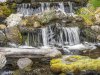 OM012765-Edit