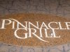 Pinnacle Grill