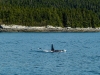 juneau-2009-westerdam-alaska-072-2