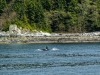 juneau-2009-westerdam-alaska-075-2