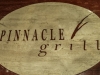 Pinnacle Grill